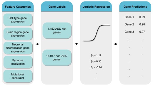 Neurodevelopmental disorders illustration